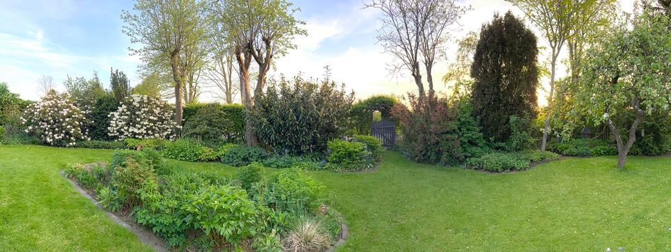 Well-maintained residential garden and lawn